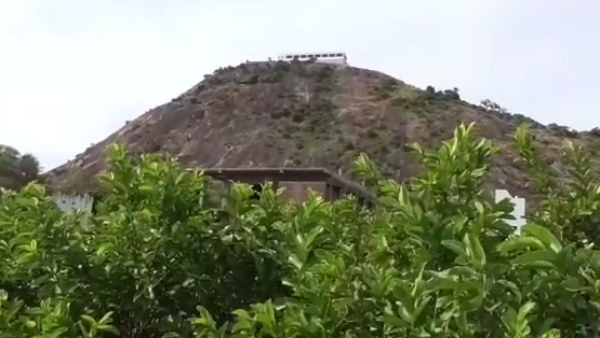 அழிந்த தென்னை சாகுபடி 