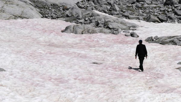 கண்கொள்ளா காட்சி 