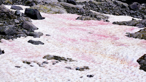 கோடை காலம் 