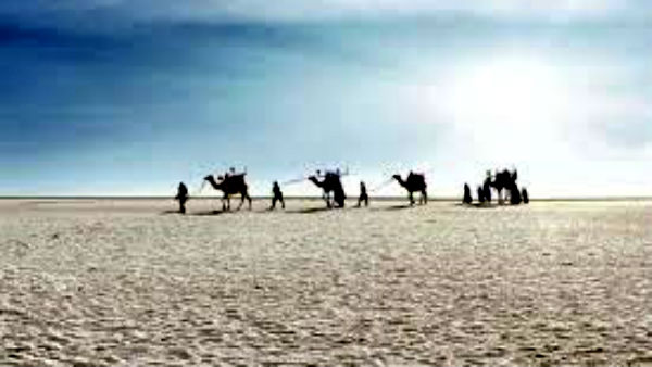 எல்லையில் மயங்கிய சித்திக் 