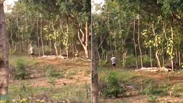 Rajinikanth E pass issue will check says Chennai Corporation Commissioner 