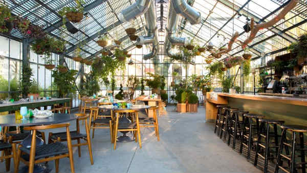  பசுமை குடில்கள் 