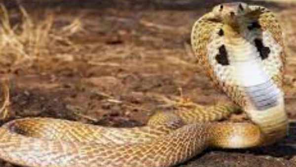 பெற்றோர் நெகிழ்ச்சி 