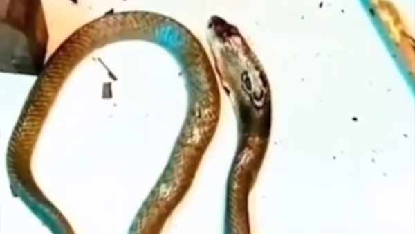 ஆம்புலன்ஸ்சில் பறந்த குழந்தை 