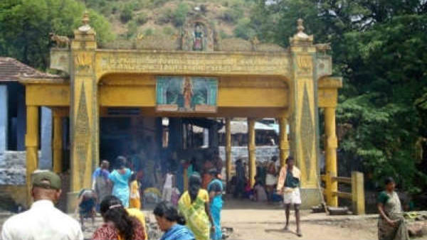 Aadi amavasai festival cancels in Tirumurthi Malai and karaiyar Sorimuthu Ayyanar Temples 