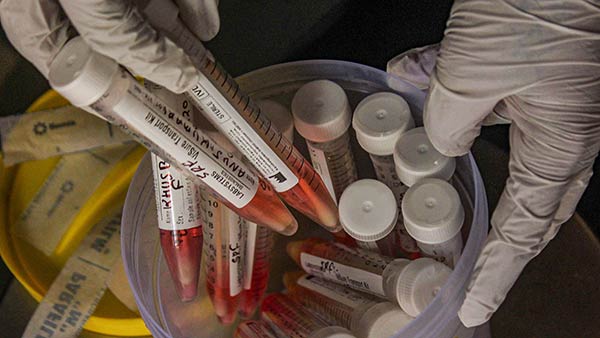 சர்ஜிக்கல் ஸ்டிரைக் 