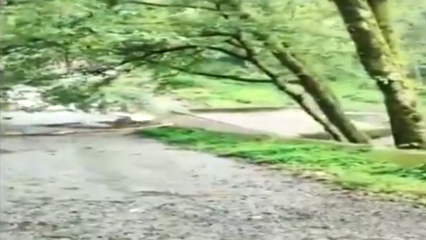 Heavy rain in Uttarakhand: A Bridge collapsed in the flood today 