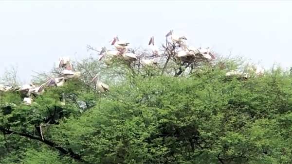 வளத்தை பாதிக்க கூடாது 