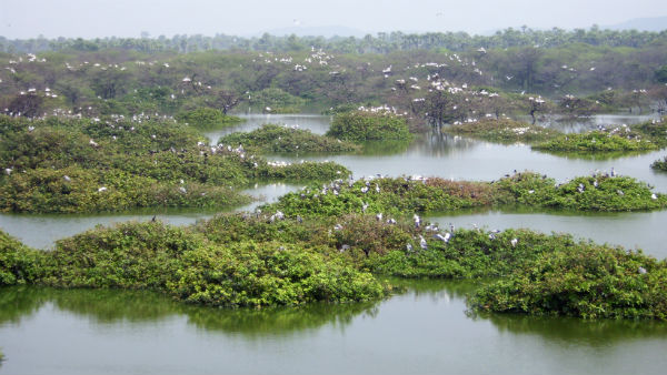 கட்டுப்பாடுகள் 