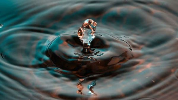 தகவல் தெரிவிக்கப்பட்டது 