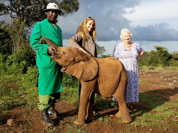 டேவிட் செய்த மரியாதை 