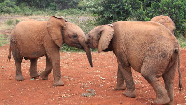 பாசத்தோடு ஒரு பயணம் 