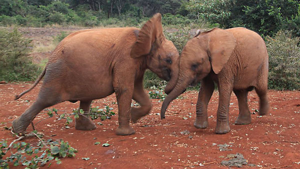 இயற்கை பாதுகாக்க போராட்டம் 