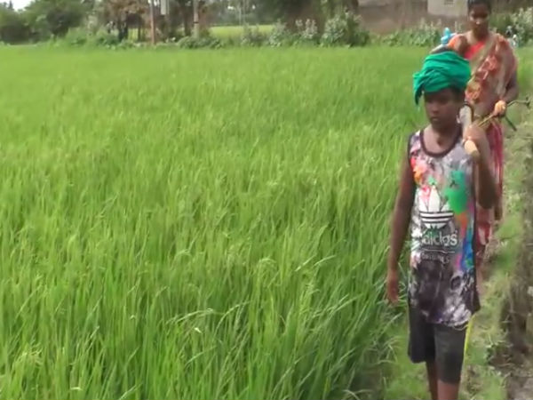 விவசாயத் தொழில் 