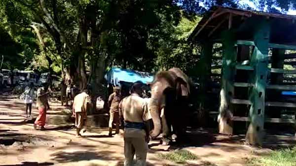 பொள்ளாச்சி டாப்ஸ்லிப் 