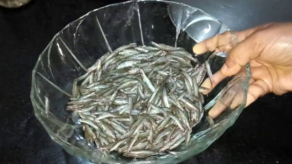 அயிரை மீன்களுக்கு என்ன ஆச்சு? 