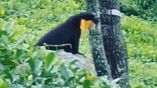 இதுதான் 