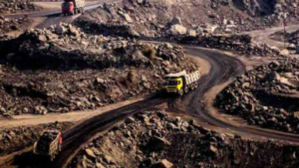 மரங்கள் வெட்டப்படும் மரங்கள் வெட்டப்படும்