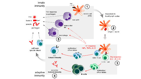 How to avoid sudden death of Coronavirus patients explains Dr.Muthu Chella Kumar