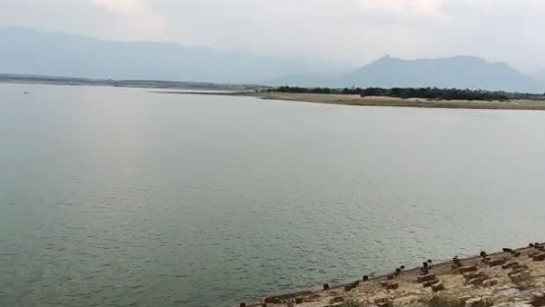 வைகை அணை 