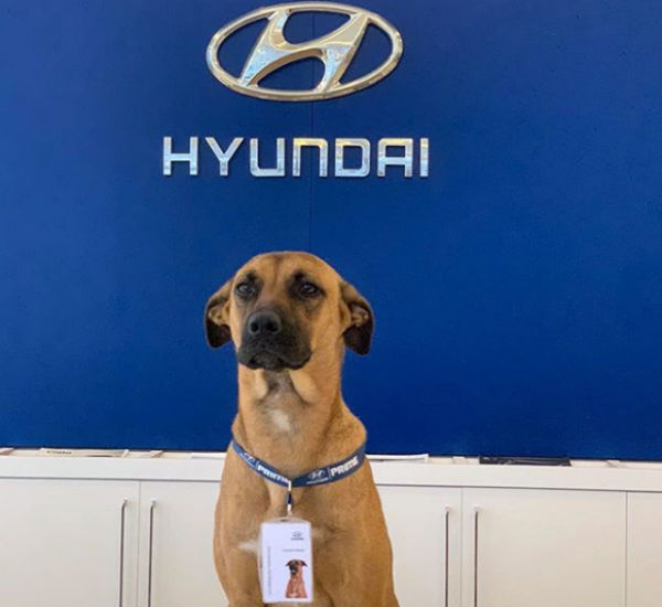 நல்ல நண்பன்