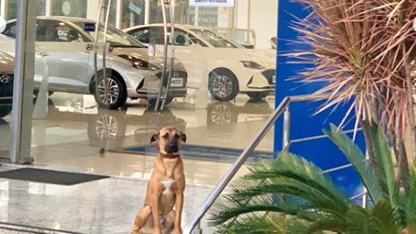 திட்டித் தீர்க்கும் நெட்டிசன்கள்