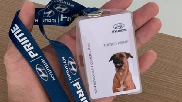 விற்பனையாளர் வேலை