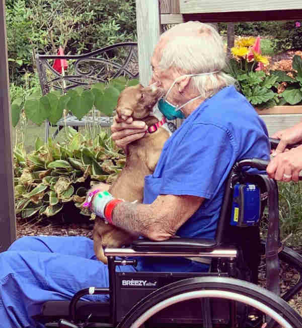 செல்ல நாய் பூபு