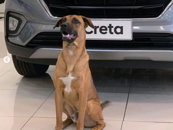 உற்சாக வரவேற்பு