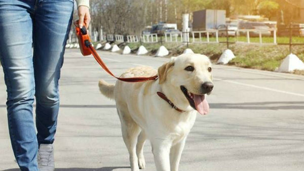 வாக்கிங் 