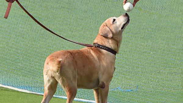 தனிமைப்படுத்துதல் 