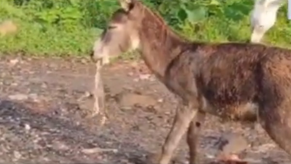 உயிர் போராட்டம் உயிர் போராட்டம்