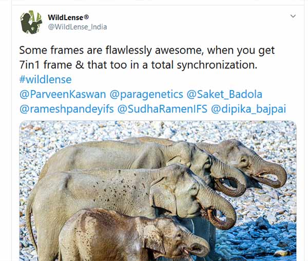 நல்லா உத்துப் பாருங்க..