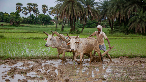 பவானி ஆற்றங்கரையோர மக்கள் 