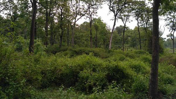 சிறப்பாக இருக்கும் சிறப்பாக இருக்கும்