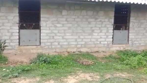 குற்றவாளி வாக்குமூலம் 