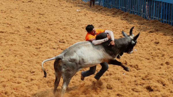 மதுரை சுற்று வட்டாரம் 