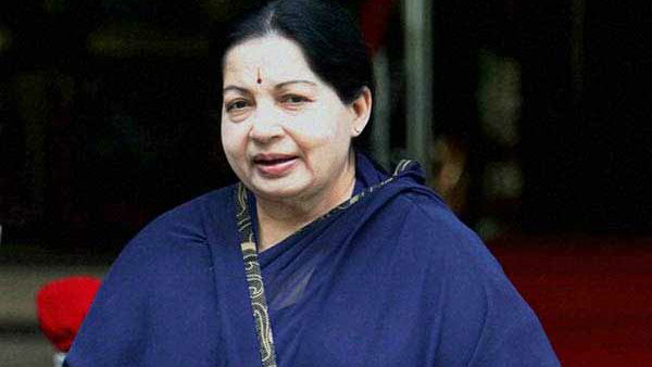  சலசலப்புகள்