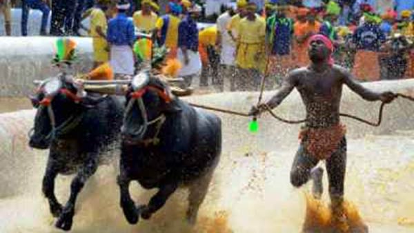 200 ஆண்டுகள் 