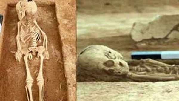 மனித உடல் எப்படி 