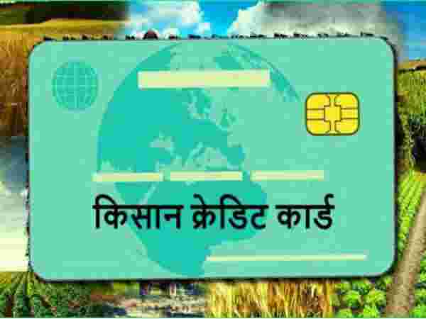 பயிர் காப்பீடு 