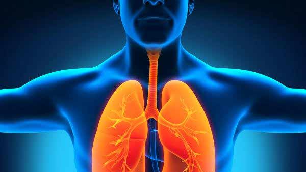 மூன்று மாதம் தேவை மூன்று மாதம் தேவை