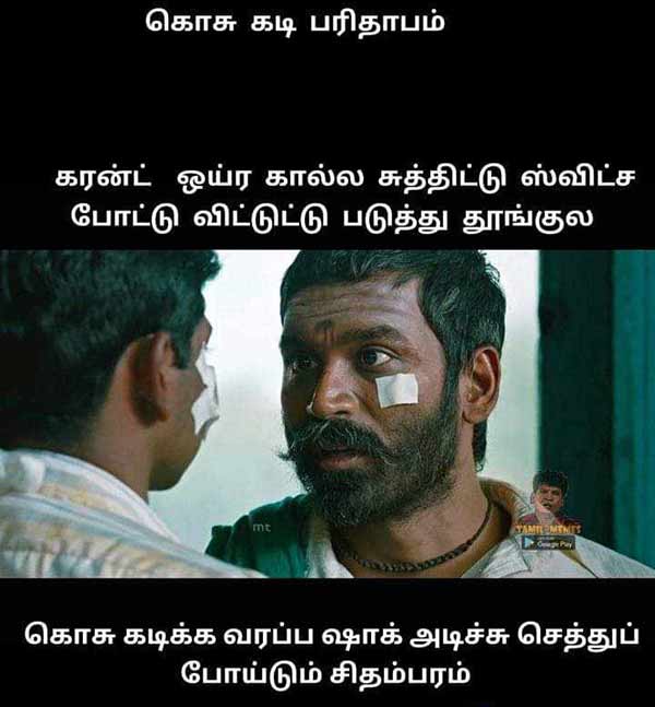 Viral Memes Collection on World Mosquito Day 