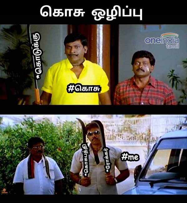 Viral Memes Collection on World Mosquito Day 