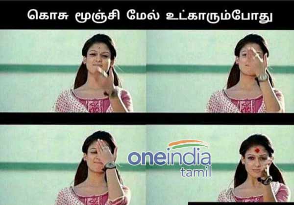 Viral Memes on World Mosquito Day 