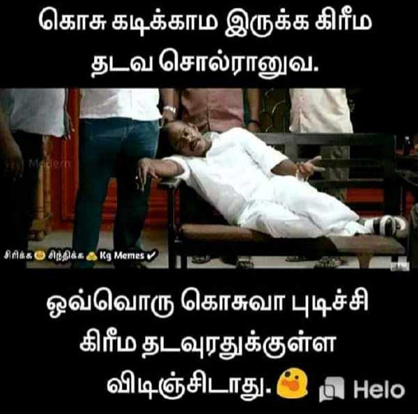 Viral Memes on World Mosquito Day 