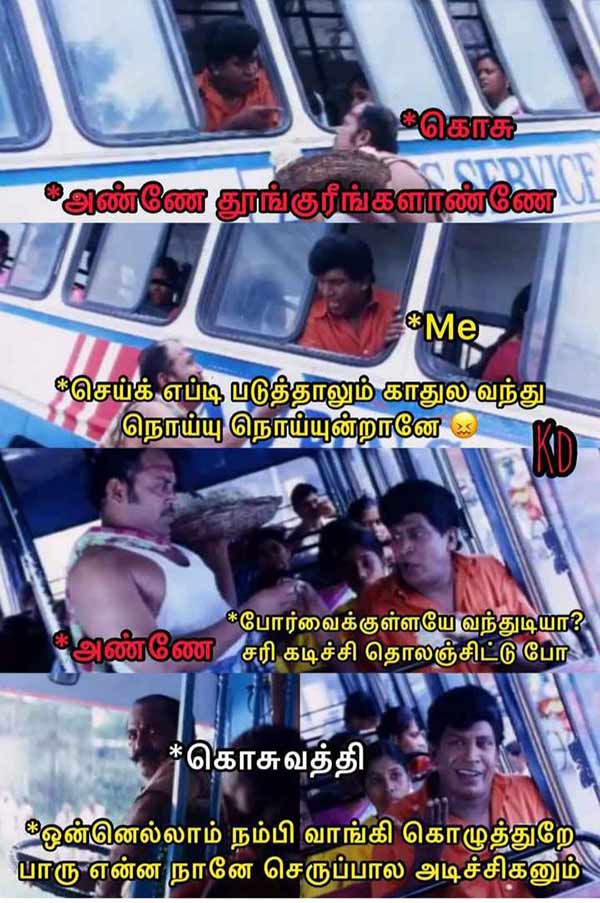 Viral Memes on World Mosquito Day 