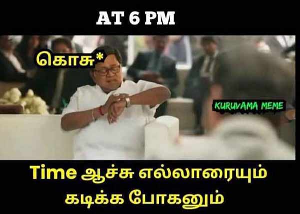 Viral Memes on World Mosquito Day 