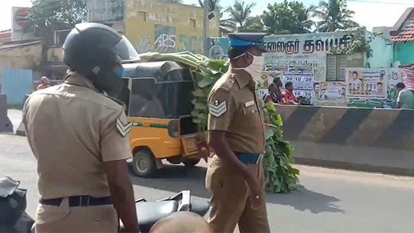 தாயின் நடவடிக்கை 