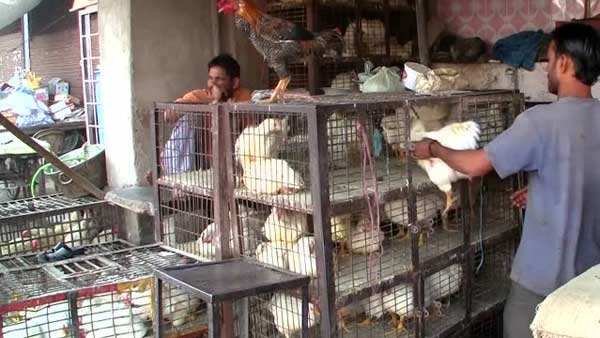 எல்லா நாளும் மூடத்தான் வேண்டும் 